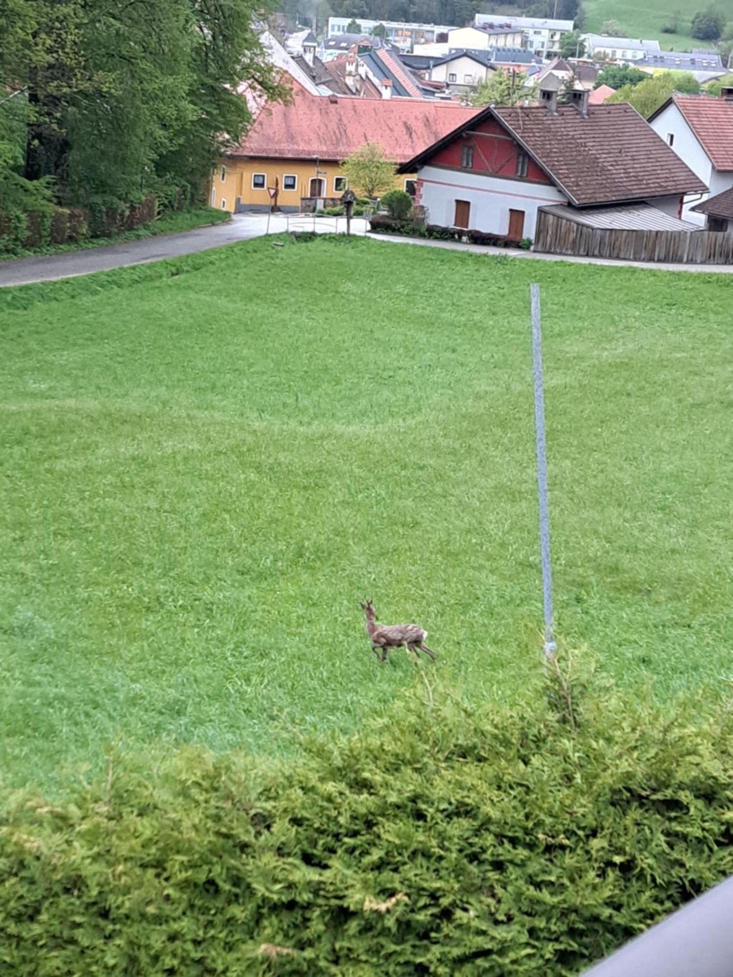 Haus Am Schloss Apartman Bleiburg Kültér fotó